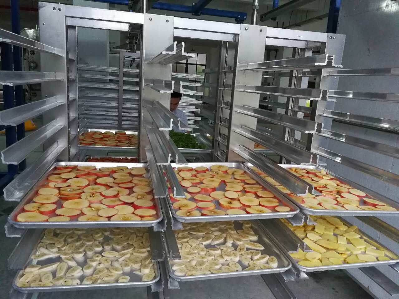 vacuum freeze drying machine fruit and vegetables freeze drying (22).jpg