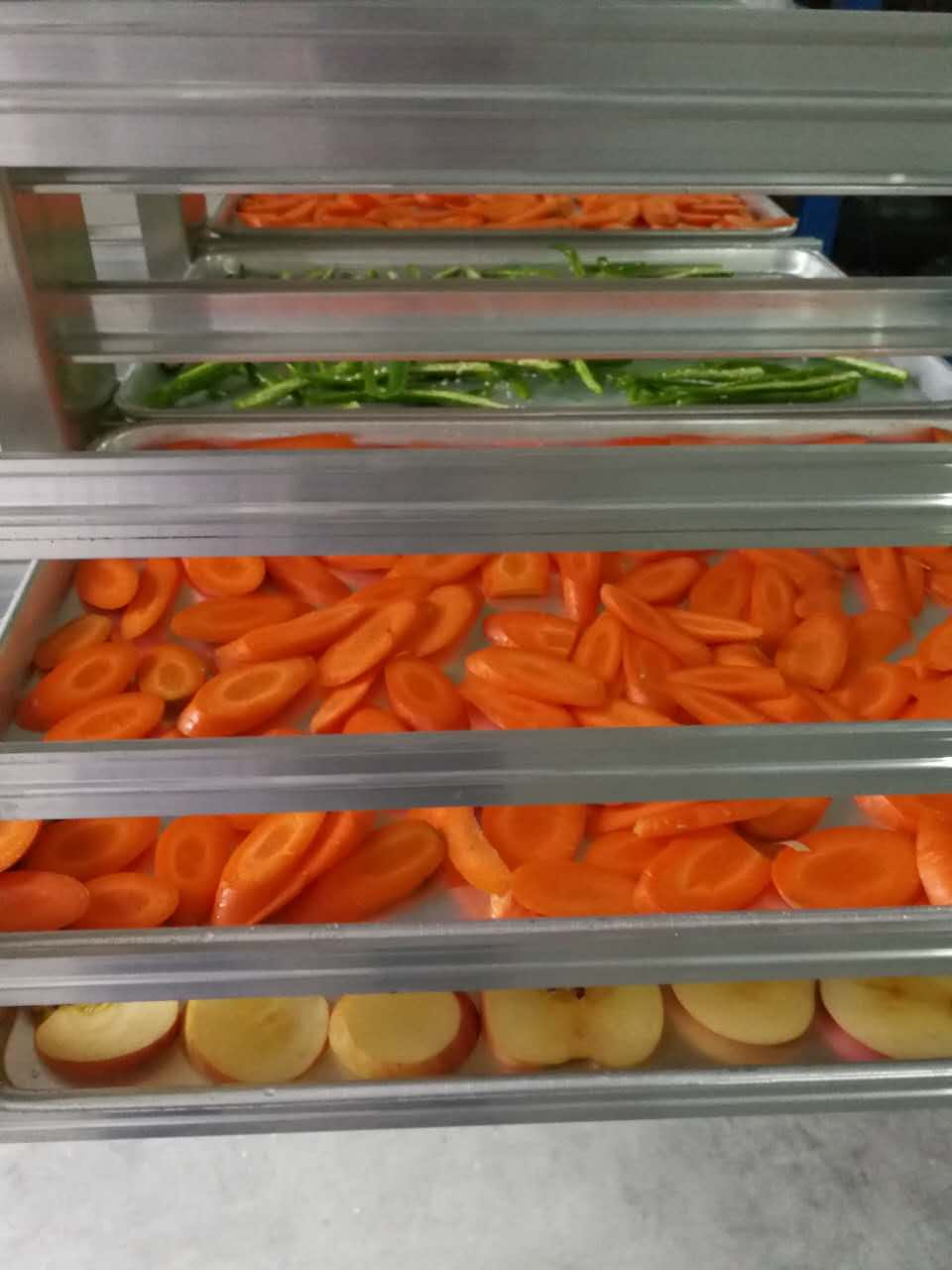 vacuum freeze drying machine fruit and vegetables freeze drying (19).jpg
